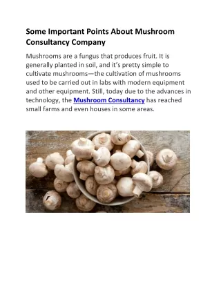 Benefit of a Mushroom Consultancy