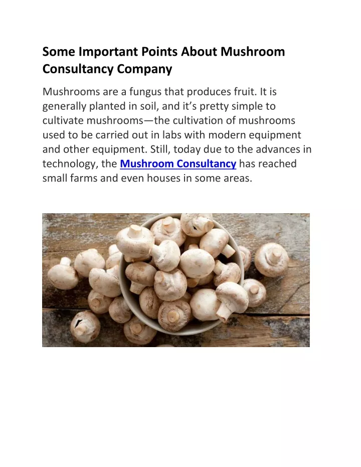 some important points about mushroom consultancy