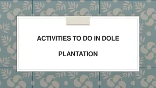activities to do in dole