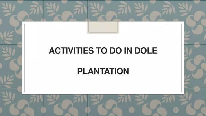 activities to do in dole