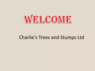 welcome
