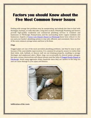 Factors you should Know about the Five Most Common Sewer Issues