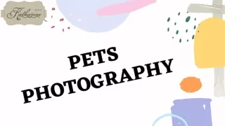 Pets Photography in Illinois | Images By Katharine