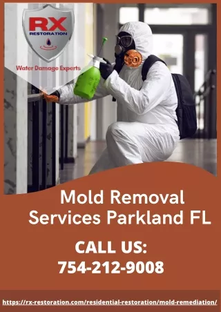 Mold Removal Services Parkland FL   | RX Restoration