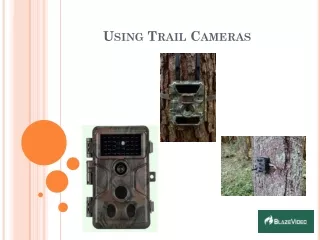 Using Trail Cameras