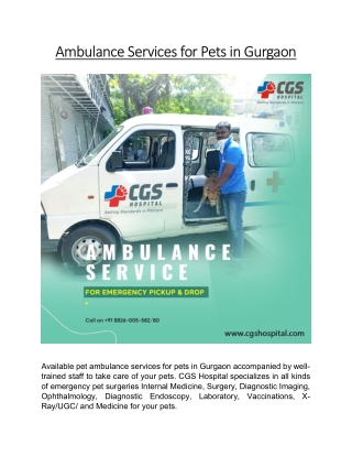 Ambulance Services for Pets in Gurgaon