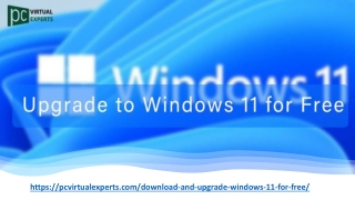 https pcvirtualexperts com download and upgrade