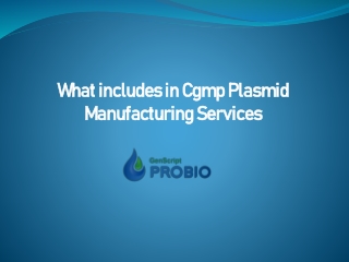 What includes in Cgmp Plasmid Manufacturing Services