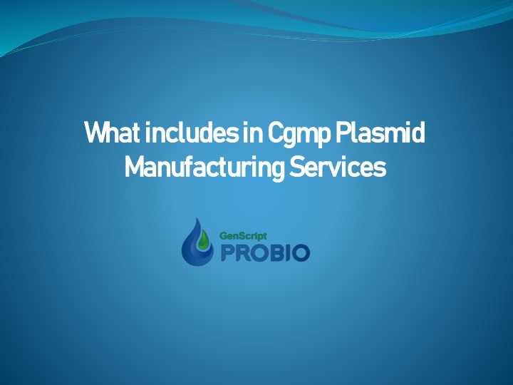 what includes in cgmp plasmid manufacturing