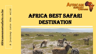 Africa Best Safari Destination