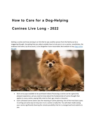 How to Care for a Dog-Helping Canines Live Long - 2022
