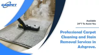 Professional Carpet Cleaning and Stain Removal Services in Ashgrove