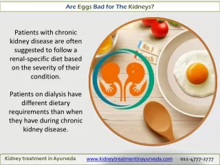 Are Eggs Bad for The Kidneys?