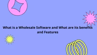 what is a wholesale software and what