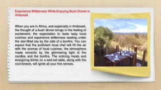 experience wilderness while enjoying bush dinner