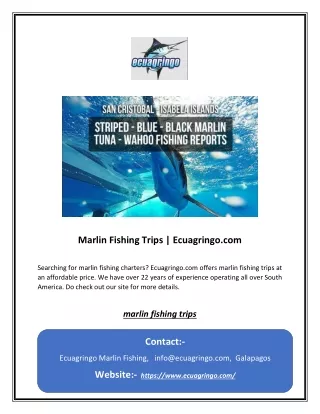 Marlin Fishing Trips | Ecuagringo.com