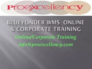 Blue Yonder WMS Technofunctional Online Training by Proexcellency