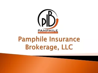 pamphile insurance brokerage llc