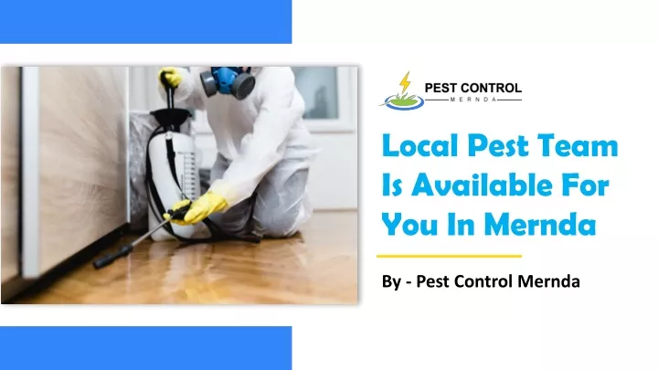local pest team is available for you in mernda