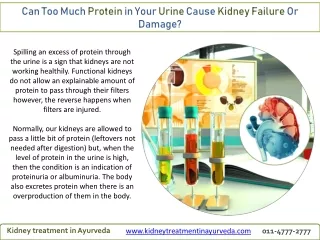 Can Too Much Protein in Your Urine Cause Kidney Failure Or Damage