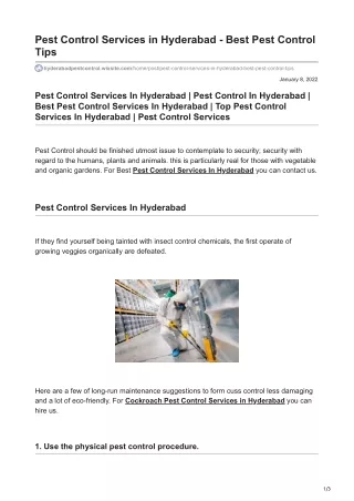 Best Pest Control Tips