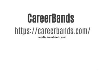 Professional Career Advice-CareerBands