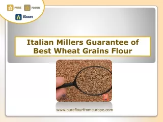 Italian Millers Guarantee of Best Wheat Grains Flour