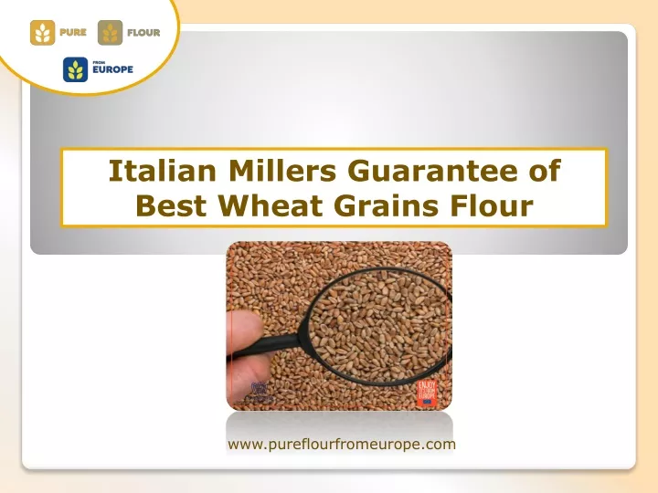 italian millers guarantee of best wheat grains