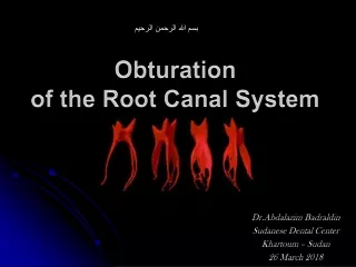 obturation of the root canal system