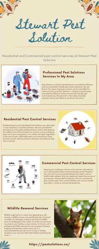 Get Best Pest Control Services - Stewart Pest Solution