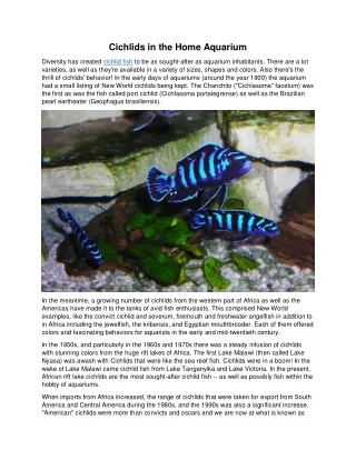 cichlids in the home aquarium