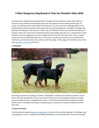 5 most dangerous dog breeds in that you shouldn