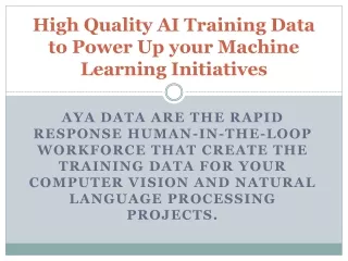 High Quality AI Training Data