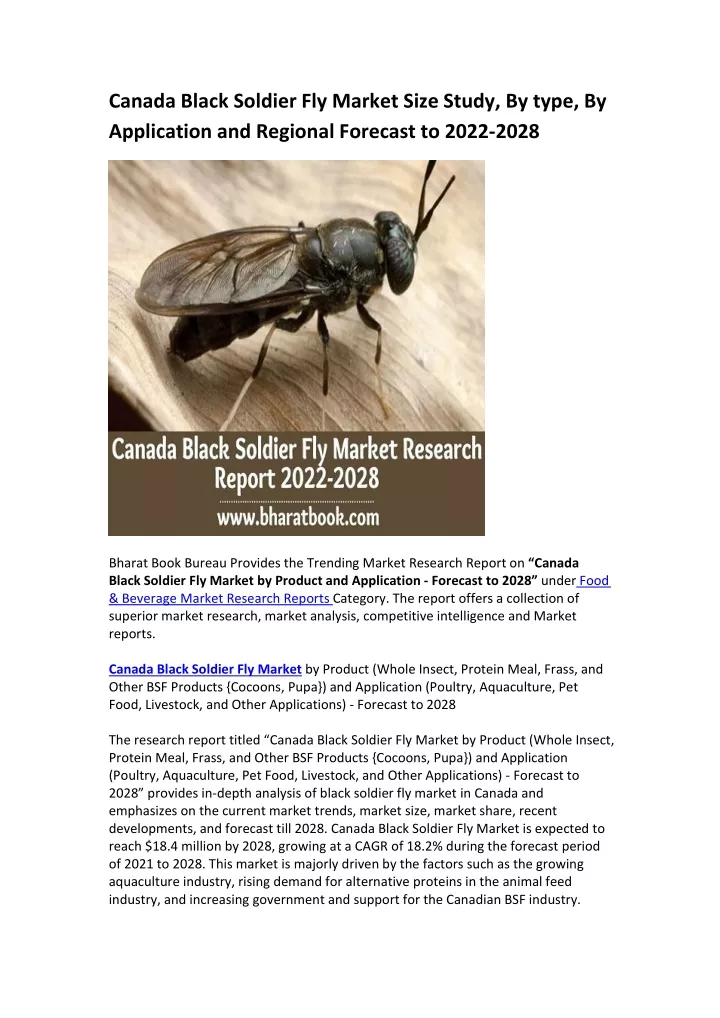 canada black soldier fly market size study