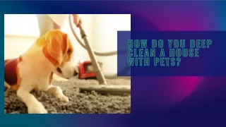 How Do You Deep Clean A House With Pets?