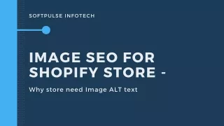 Is Image Alt Text Important for Shopify Store?