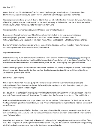 Sage Advice About Dachreinigung From a Five-Year-Old