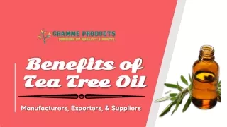 Tea Tree Oil Manufacturers - Gramme Products