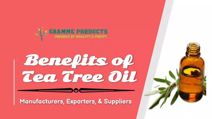 benefits of benefits of tea tree oil tea tree oil