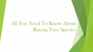 All You Need To Know About Buying Tree Species