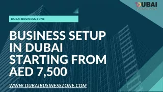 Business Setup In Dubai - Dubai Business Zone