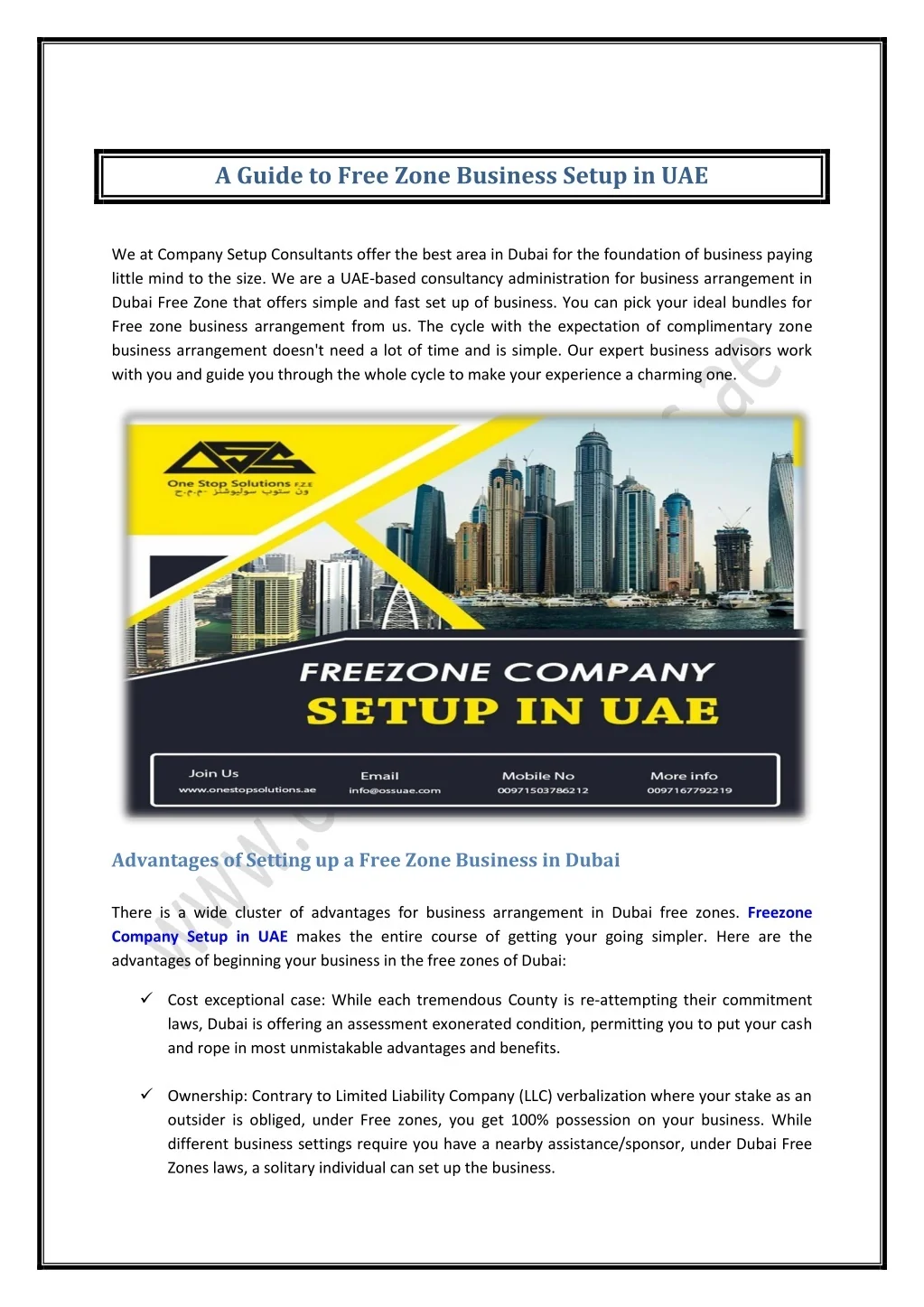 PPT - A Guide to Free Zone Business Setup in UAE PowerPoint ...