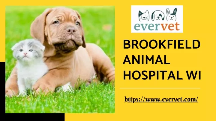 brookfield animal hospital wi