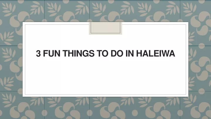 3 fun things to do in haleiwa