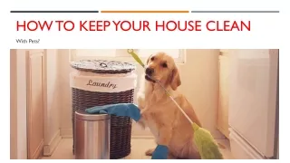 How To Keep Your House Clean With Pets