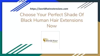Choose Your Perfect Shade Of Black Human Hair Extensions Now