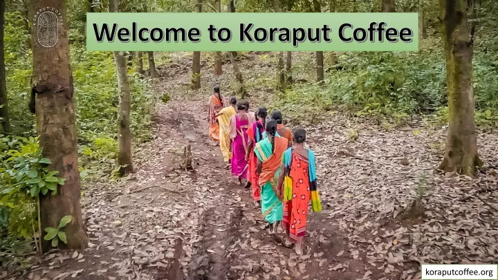 welcome to koraput coffee