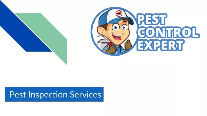 pest inspection services