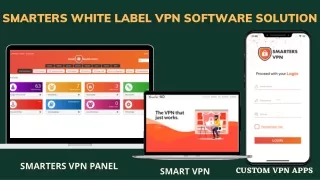 Fully customizable White Label VPN Software Solution For VPN Business