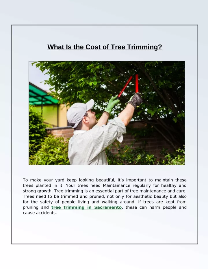 what is the cost of tree trimming